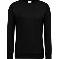 Frauen Set-In Sweatshirt 80/20 Royal Line