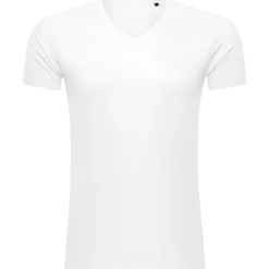 Männer Bio T-Shirt mit V-Ausschnitt Inspire