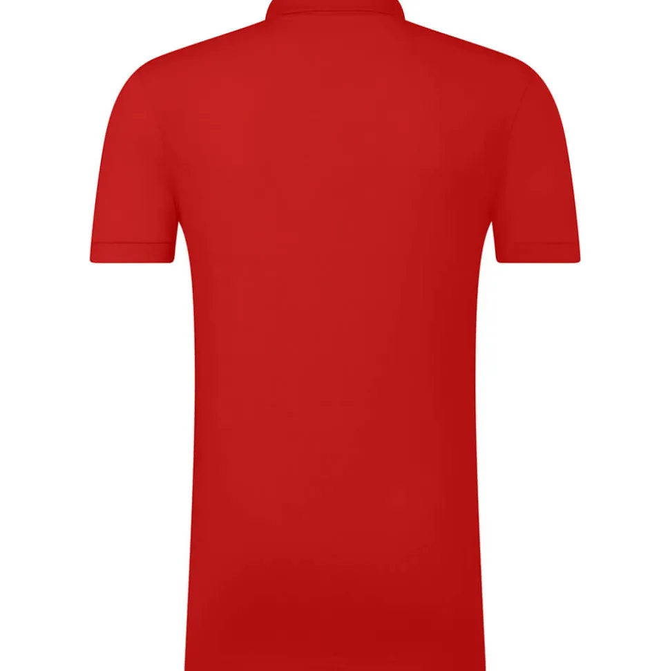 Männer Fein-Piqué Poloshirt 180 in Übergröße