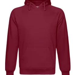 Männer Premium Bio Hoodie Fairtrade in Übergröße