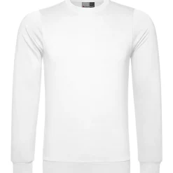 Männer Sweatshirt 100