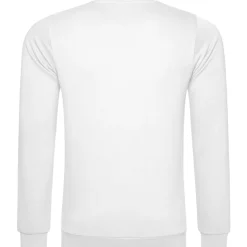Männer Sweatshirt 100