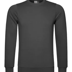 Männer Sweatshirt 100