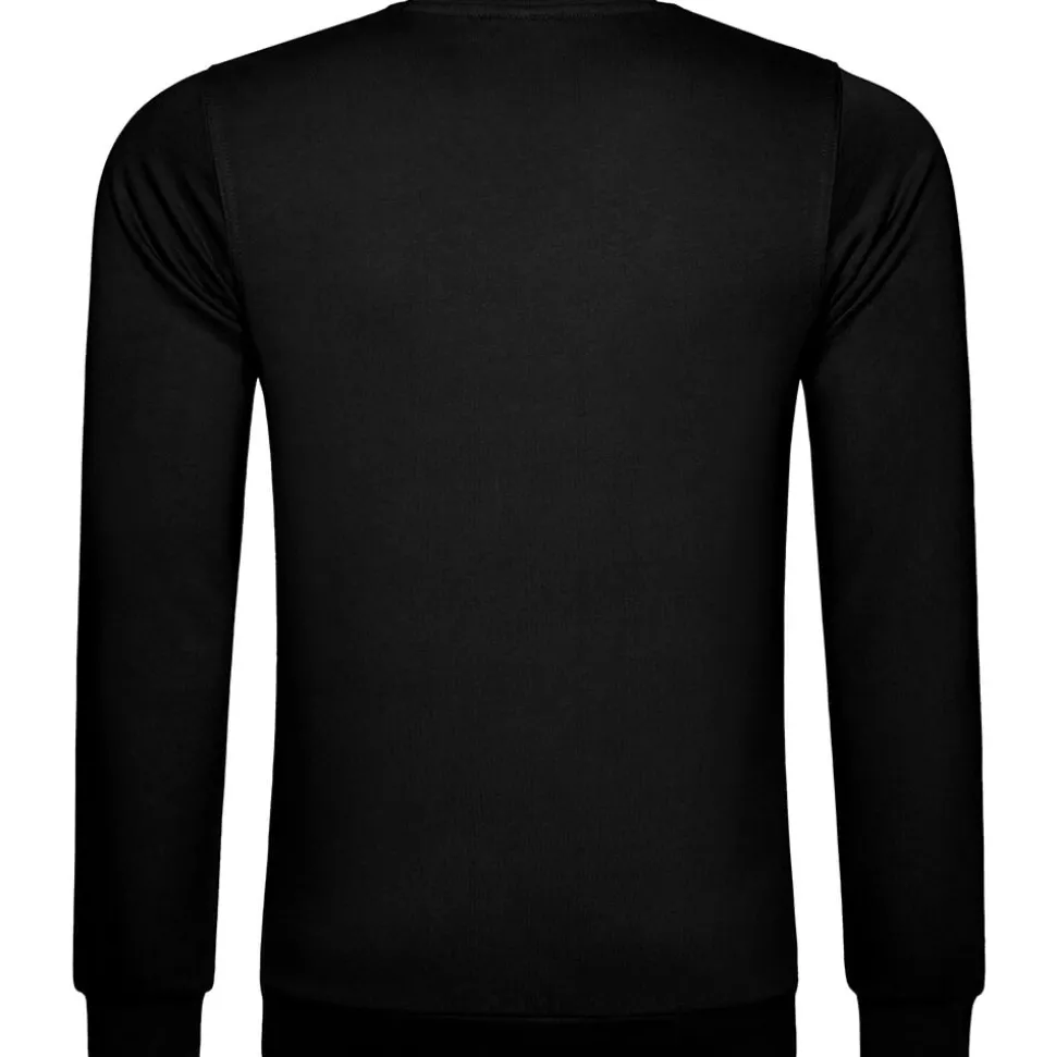 Männer Sweatshirt 100