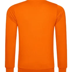 Männer Sweatshirt 100 in Übergröße