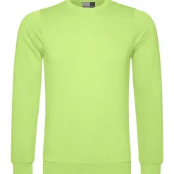 Männer Sweatshirt 100 in Übergröße