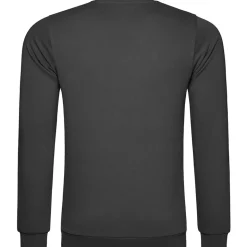 Männer Sweatshirt 100 in Übergröße