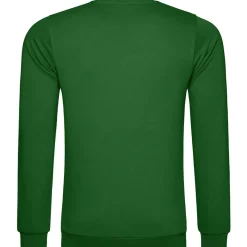 Männer Sweatshirt 100 in Übergröße