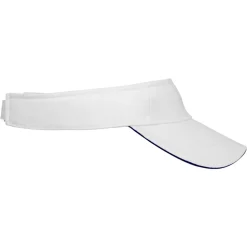 Sandwich Sunvisor
