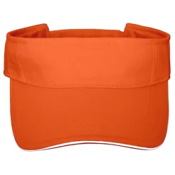 Sandwich Sunvisor