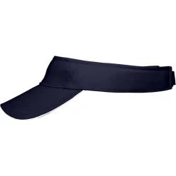 Sandwich Sunvisor
