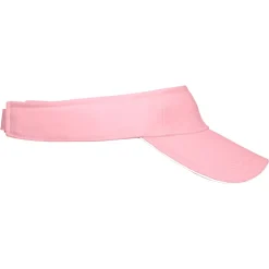 Sandwich Sunvisor