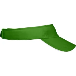 Sandwich Sunvisor