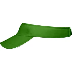 Sandwich Sunvisor