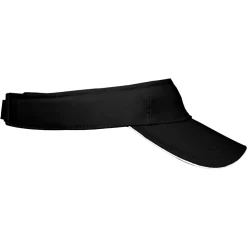Sandwich Sunvisor