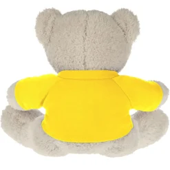 Teddy