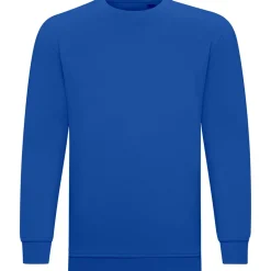 Teenager Sweatshirt ID.332