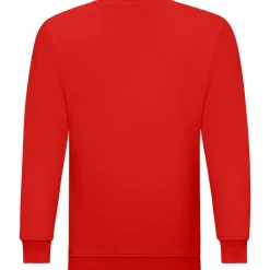 Teenager Sweatshirt ID.332