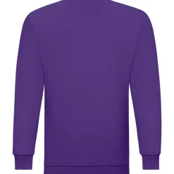 Teenager Sweatshirt ID.332