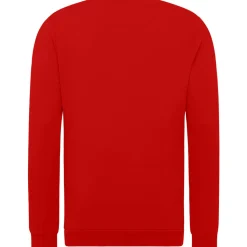 Unisex Set-In Sweatshirt French Terry in Übergröße