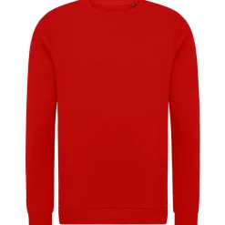 Unisex Set-In Sweatshirt French Terry in Übergröße