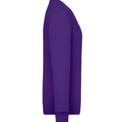 Unisex Set-In Sweatshirt 80/20 Royal Line