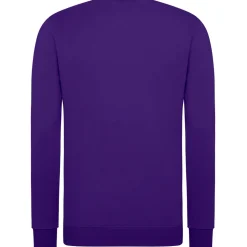 Unisex Set-In Sweatshirt 80/20 Royal Line