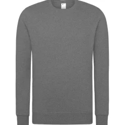 Unisex Set-In Sweatshirt 80/20 Royal Line in Übergröße